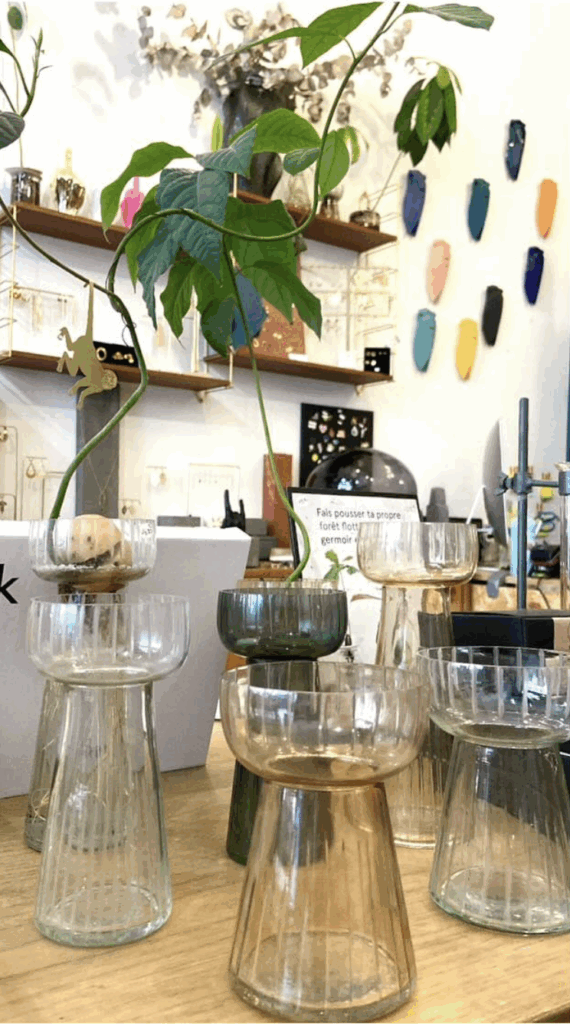 Le concept store The Shop est engagé dans l'hydroponie et propose une gamme de vases, de coupelles de germination, etc ...