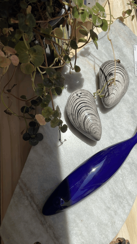 Le concept store The Shop propose des objets de décorations  rappelant Marseille et le sud
